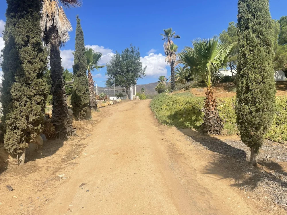 Wine country In Valle de Guadalupe