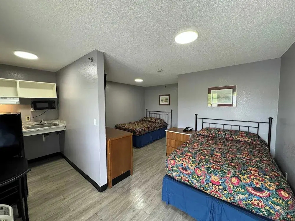 Live In Lodge Lilburn