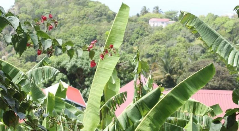 Scout's Place Hotel