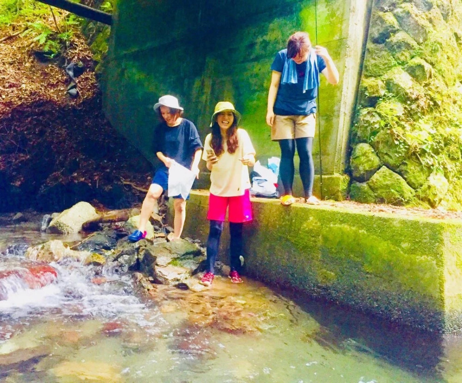 Vanguard Backpackers