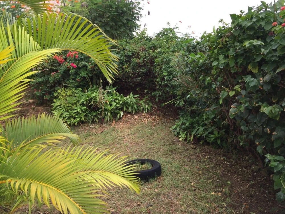 Apartment With one Room in Le Moule, With Private Pool, Enclosed Garde