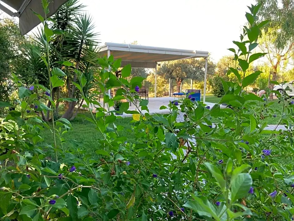 Gioia In Collina