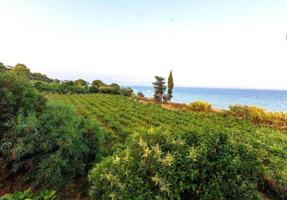 Seaheaven House B2 - Beachfront Nest Memi Koroni