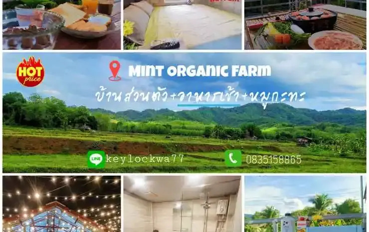 Mint Organic Farm Stay, Wangchin,Phrae
