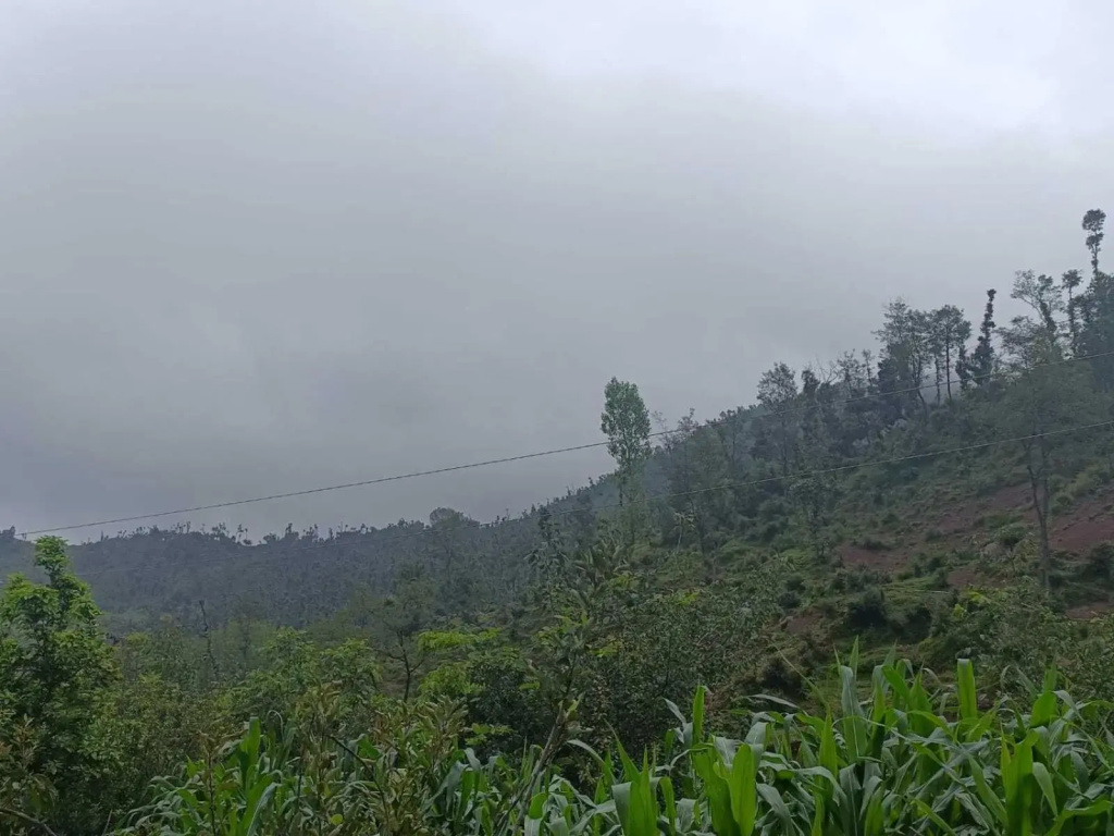 POP 92374 Sanjana Homestay