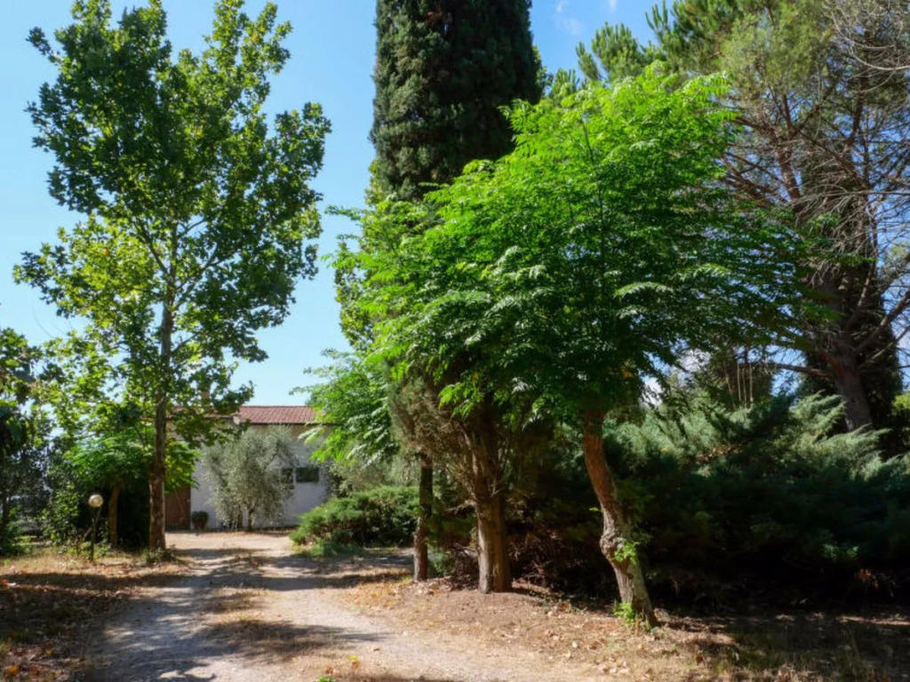 House Calvello Roselle