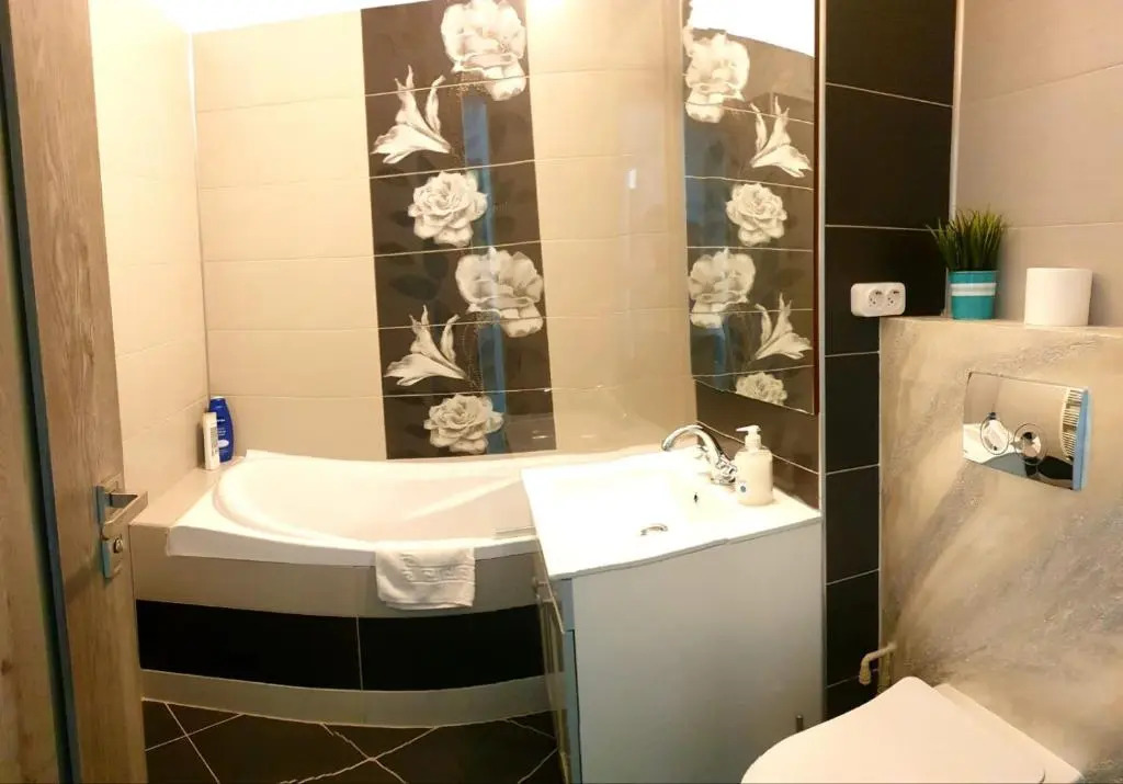 Apartament Central Radu