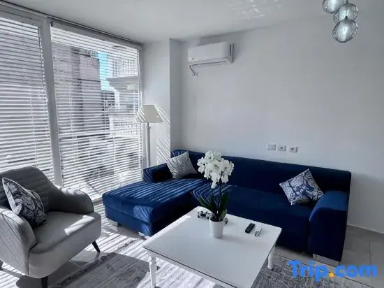 White Luxury Apartment