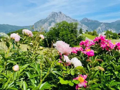 KAINZLEITENHOF am Traunsee