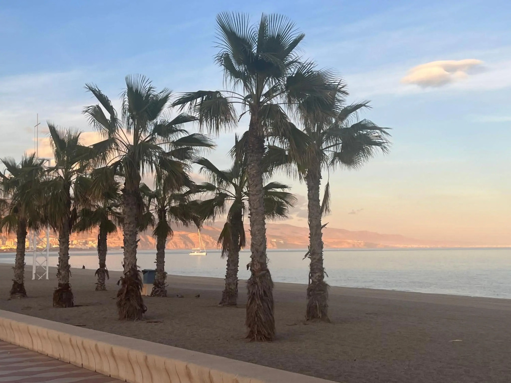 Fantastisches Apartment am Meer