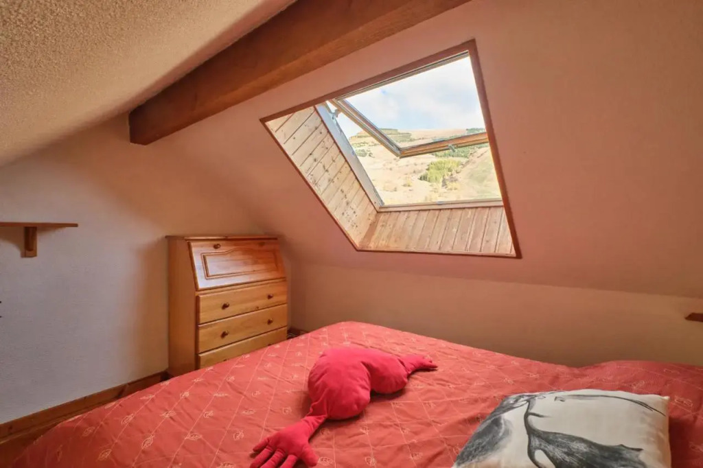 Boost your Immo Les Deux Alpes Grande Chaume 169
