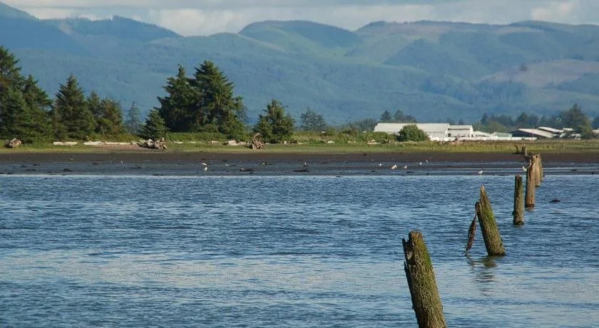 Sheltered Nook On Tillamook Bay
