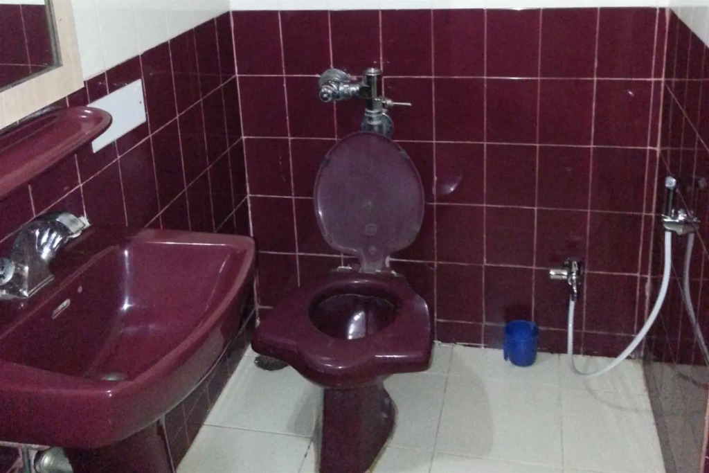 OYO 13845 Hotel Bhooshan