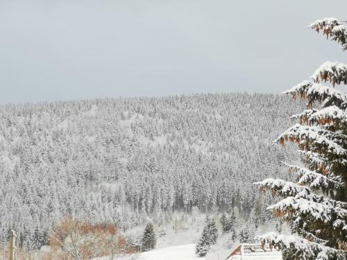 Höhengasthof Rössle
