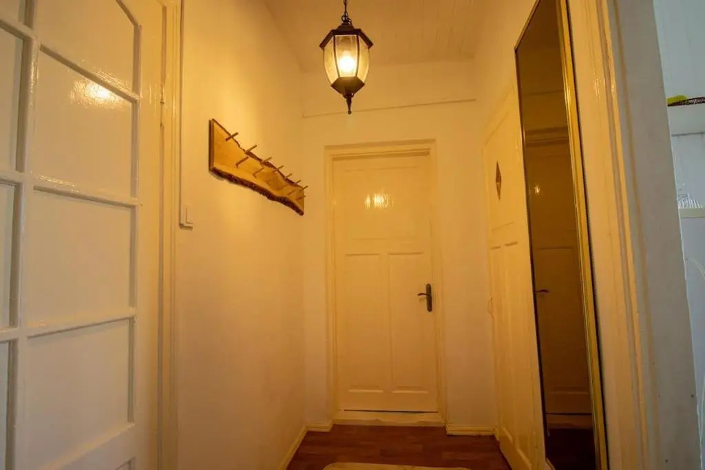 3 Room Apartment In Laisves Avenue