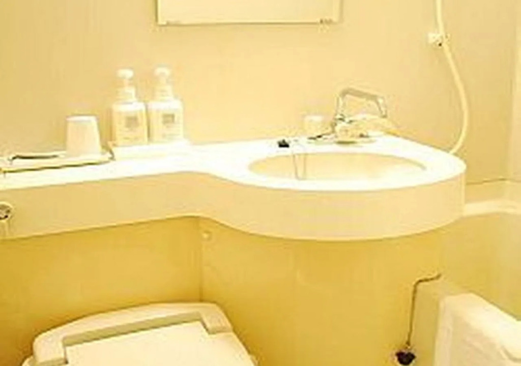 Sabae Daiichi Hotel
