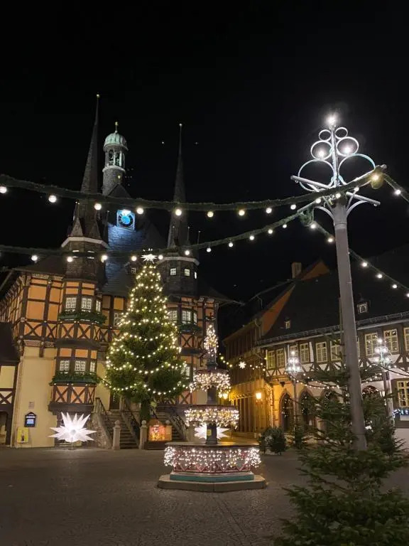 Ferienhaus Anno 1599