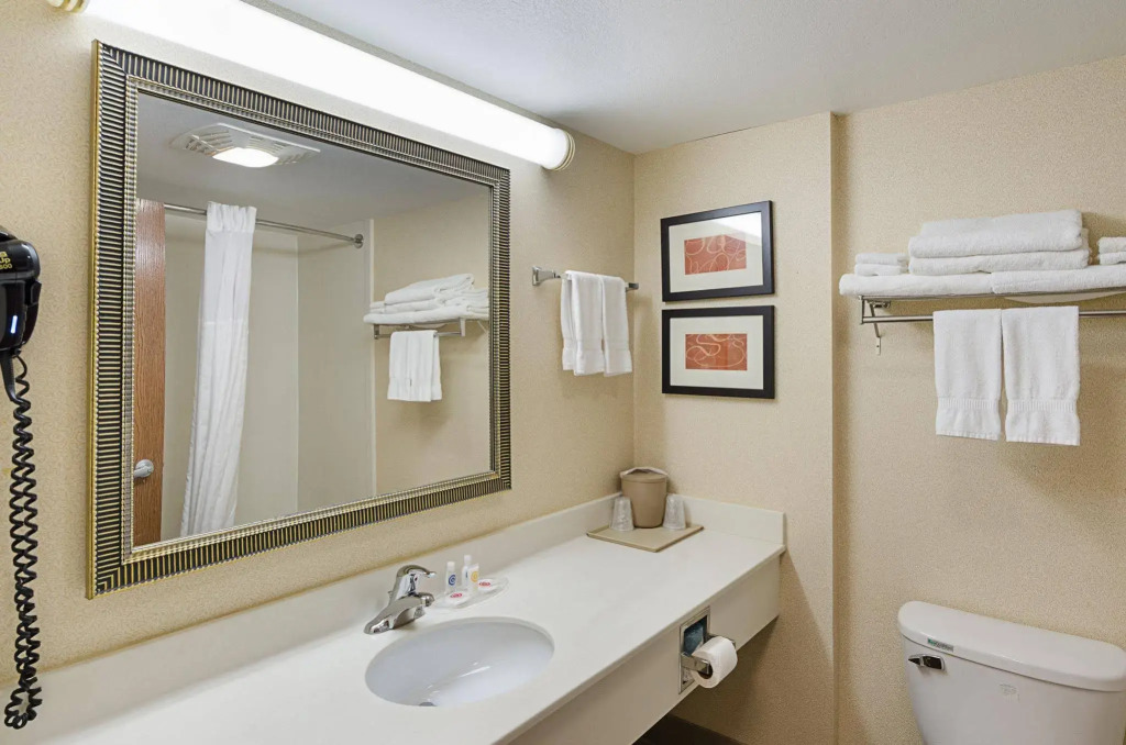Comfort Suites Wytheville near Conference Center