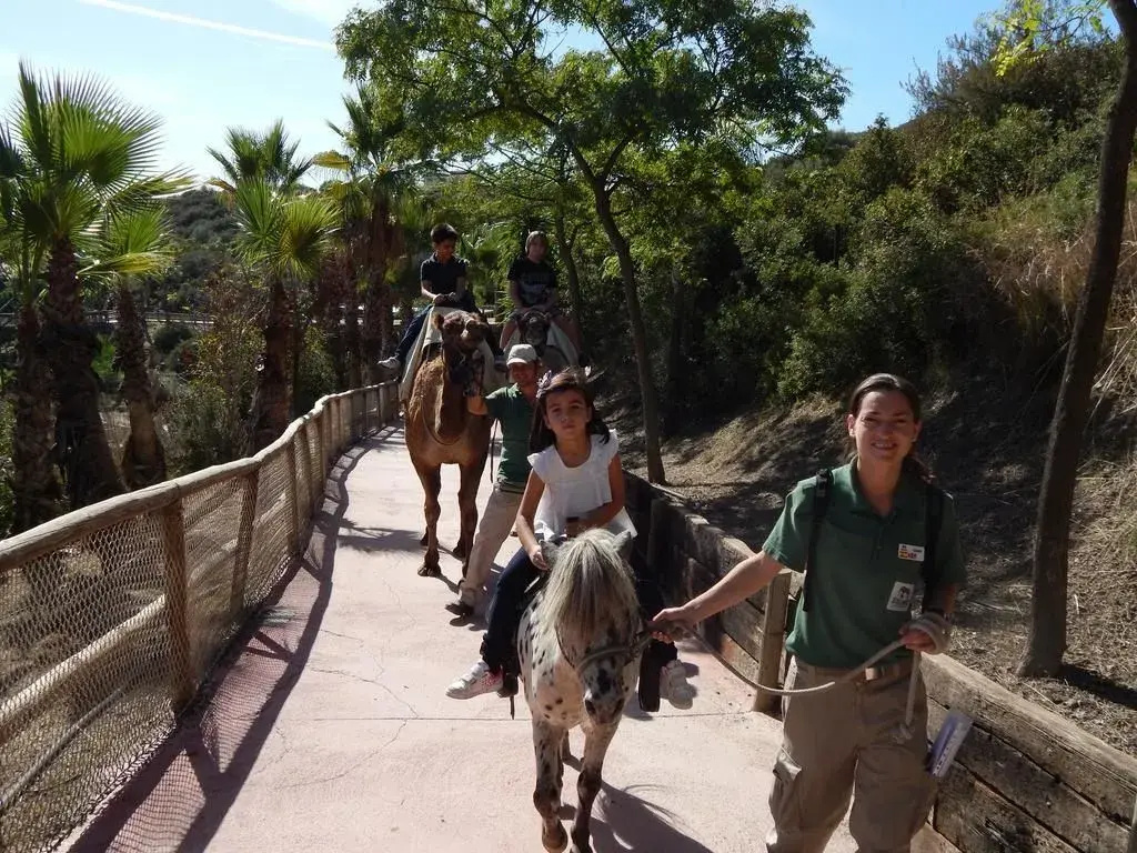 Hotel Selwo Lodge - Animal Park Tickets Included
