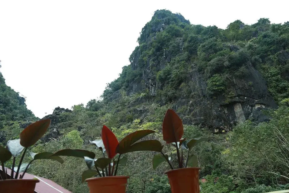 Gold Plus Hotel