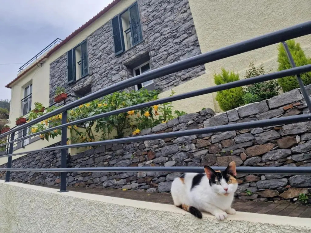 Green Valley House Madeira