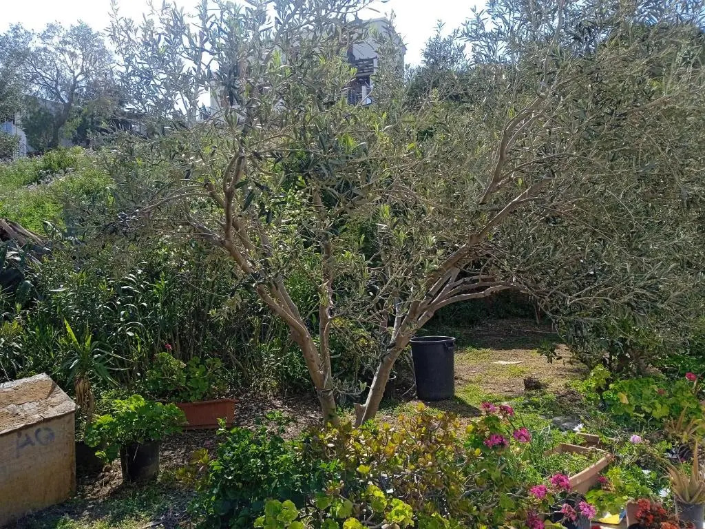 Villa Athina 3