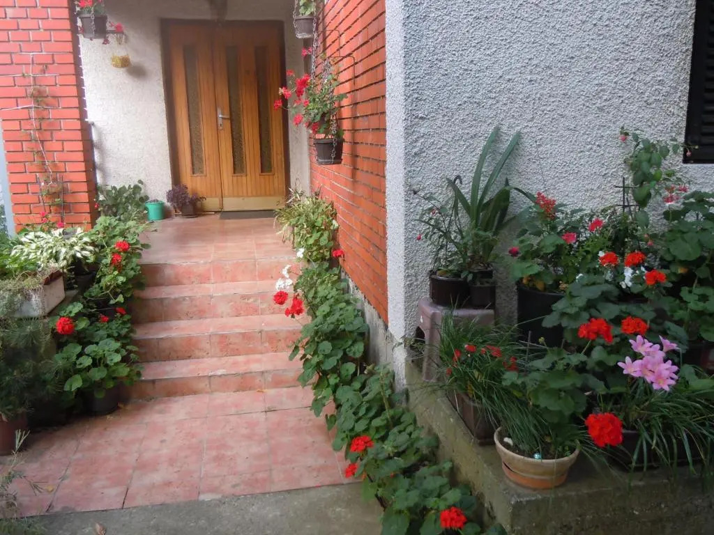 Apartmani Sobe BILJANA
