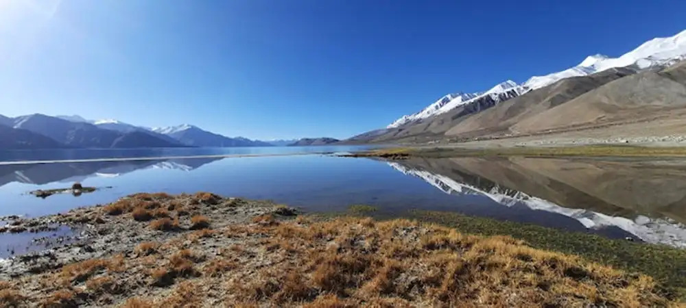 P3 Camp Pangong