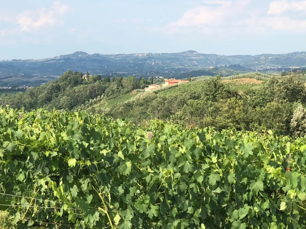 Agriturismo LOlmo