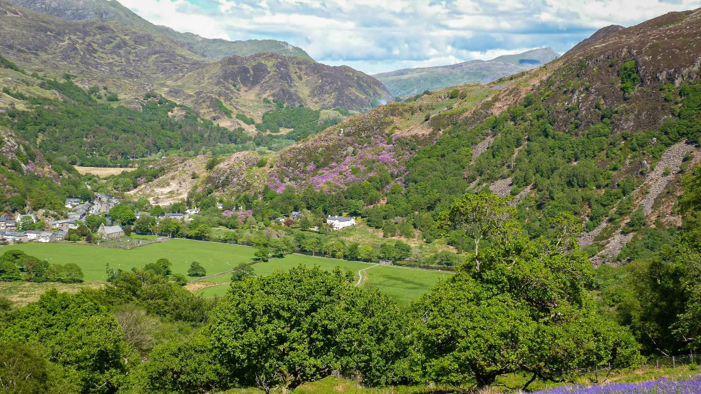 Ty Afon - River House