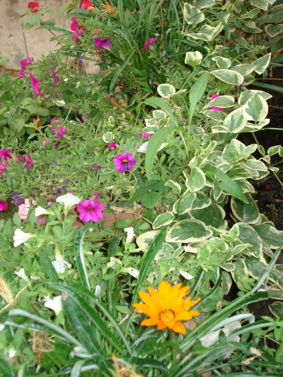 Guest House Il Giardino Segreto