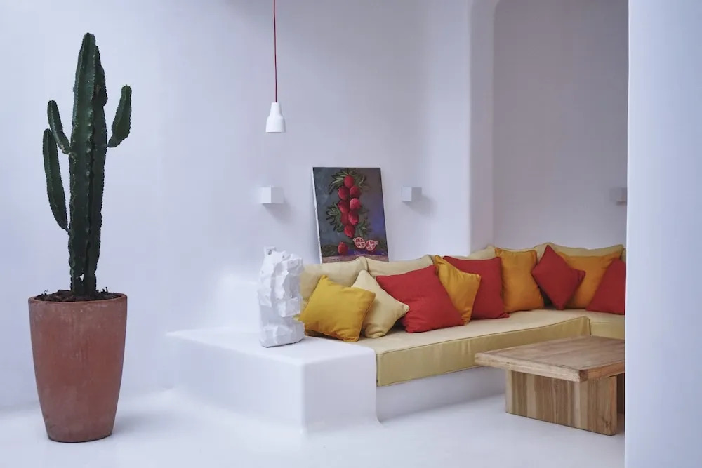 Ficus Villa Mykonos