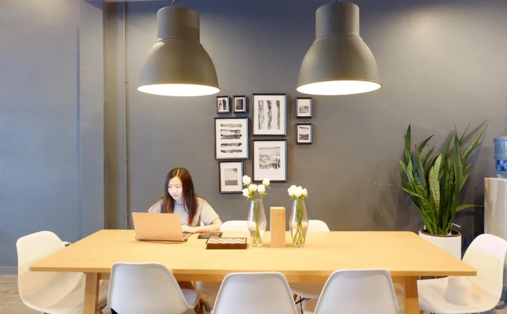 The Cocoon Hostel