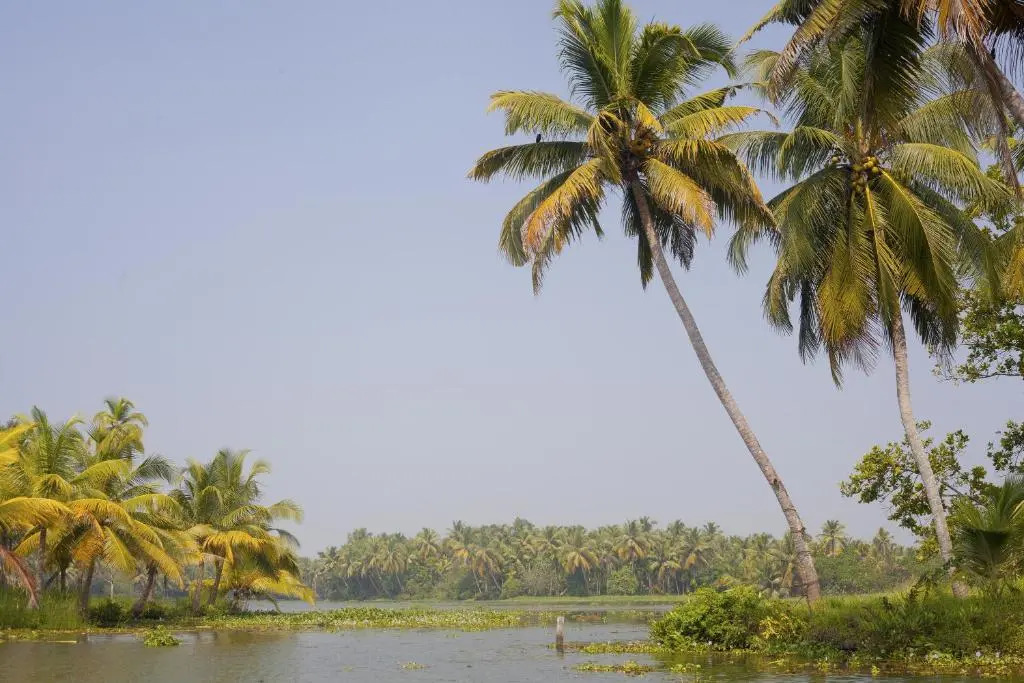 Kera Houseboats Alleppey