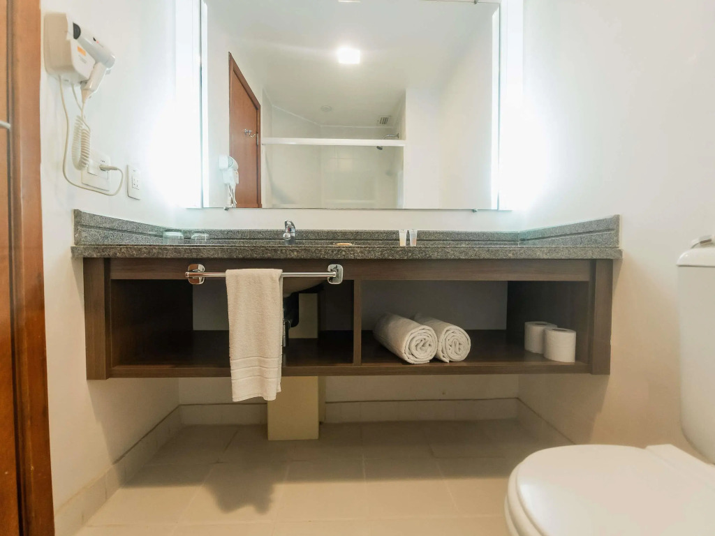 Ibis Styles Campinas Alphaville