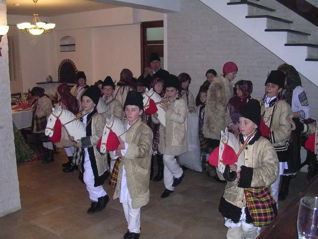 Pension Perla Bucovinei