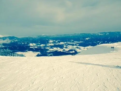 Sauschneideralm