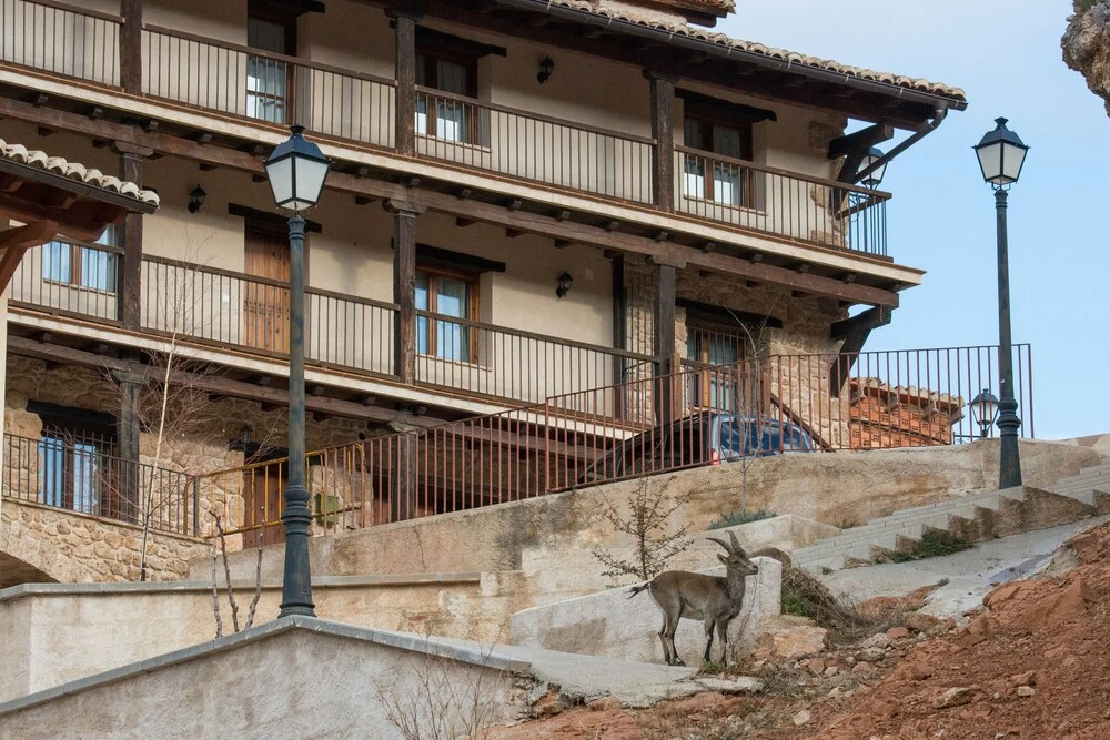 Casa El Mirador
