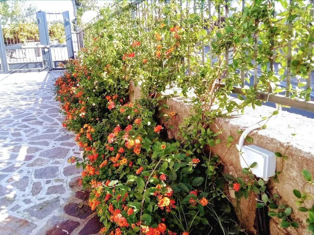 IL GIARDINO DEI GLICINI