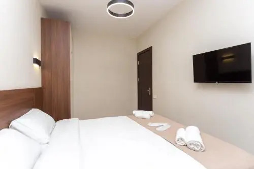 Flat 1 Bedroom 1 Bathroom - Bakuriani