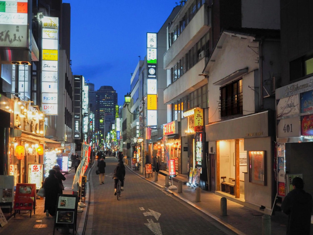 Tokyo Little House