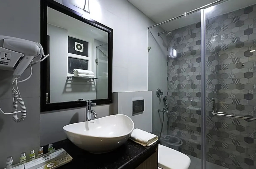Delhieez - A Boutique Hotel