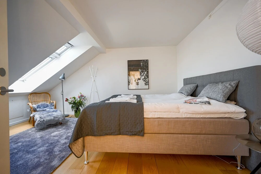 Spacious 3-bedroom Apartment With a Rooftop Terrace in the Center of Copenhagen