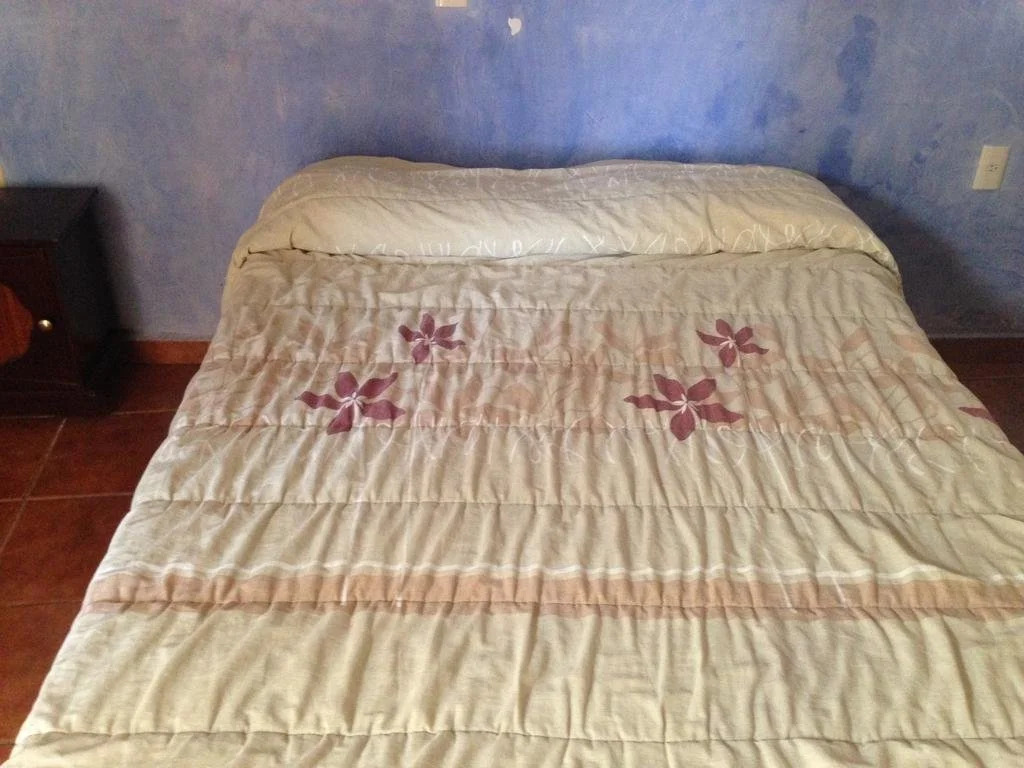 Hotel Real Hidalgo