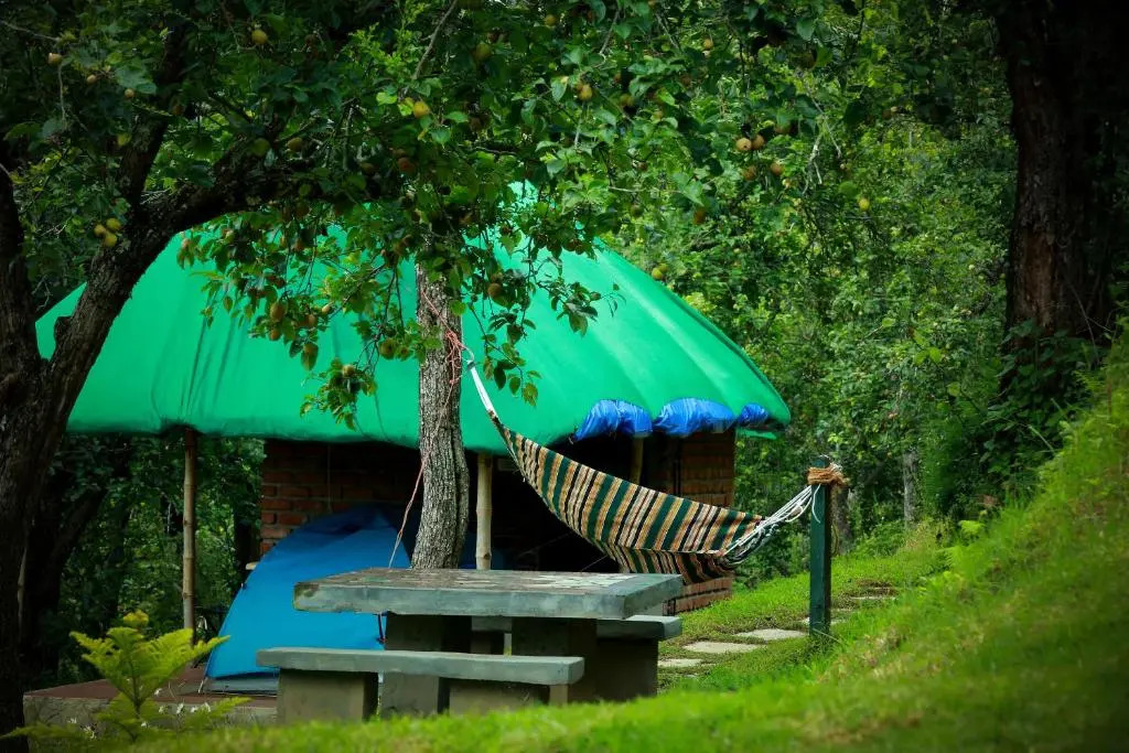 The Pear County