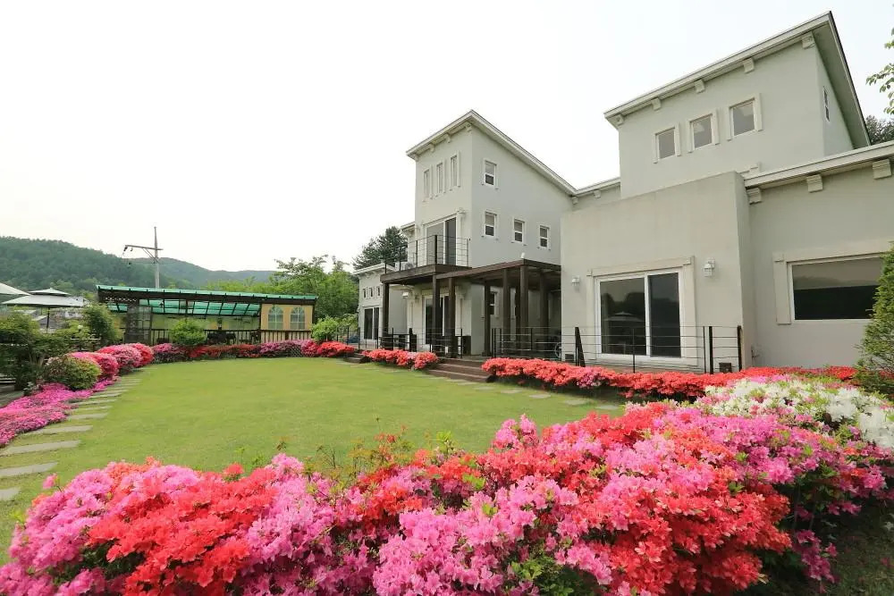 Gapyeong Navillera Pension