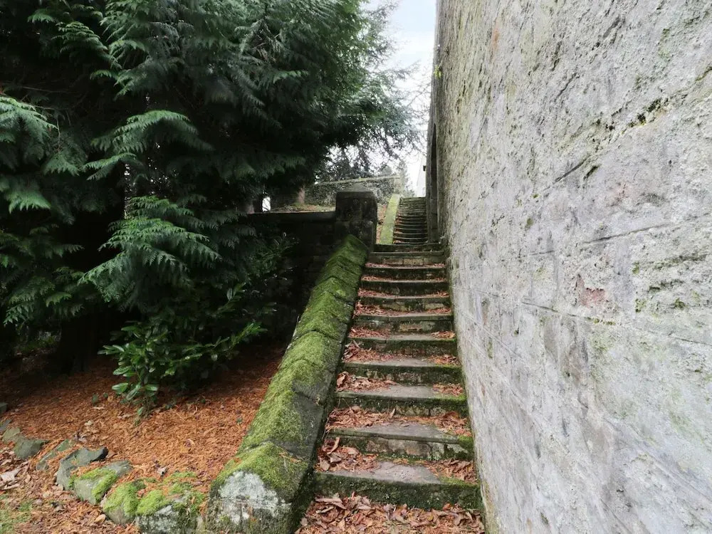 The Folly