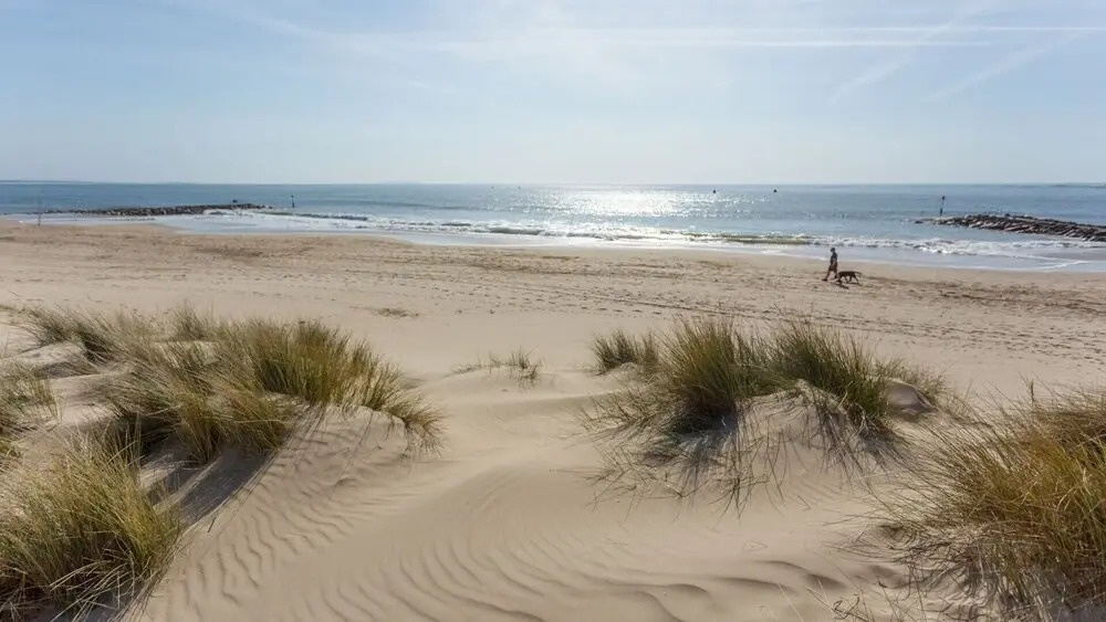 Sandy Shores
