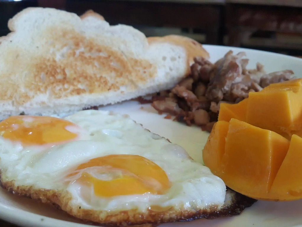 Lazy Dog Bed & Breakfast