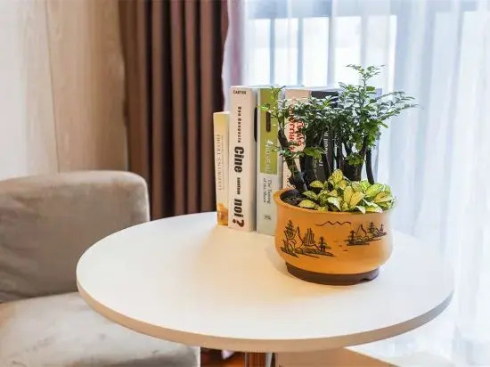 Times  Premium Business Apartment (Shenzhen Longyuan Chuangzhan )